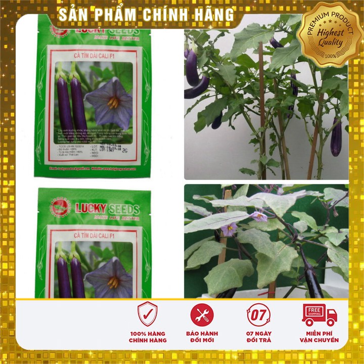 Hạt giống Cà Tím Dài ( 2 gram) ( Hạt giống rau )