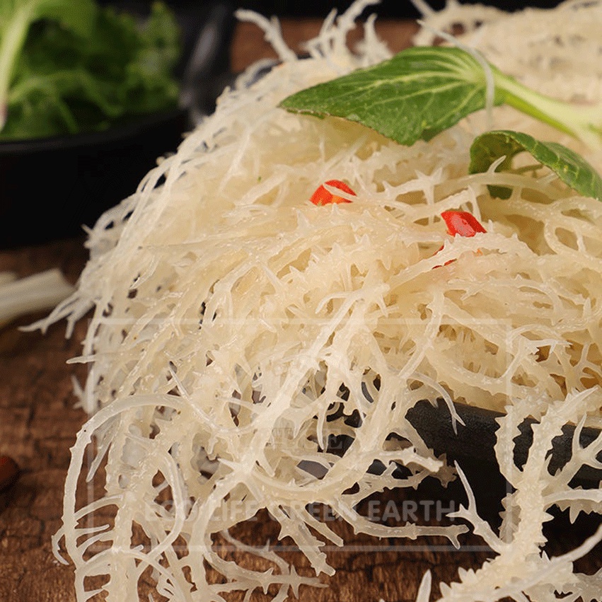 Rong sụn biển thiên nhiên Nha Trang trắng khô ☘Gói 100 gr, 200 gr, 500 gr