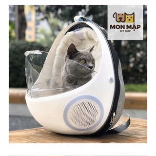 Balo bọ dừa trong suốt cho chó mèo