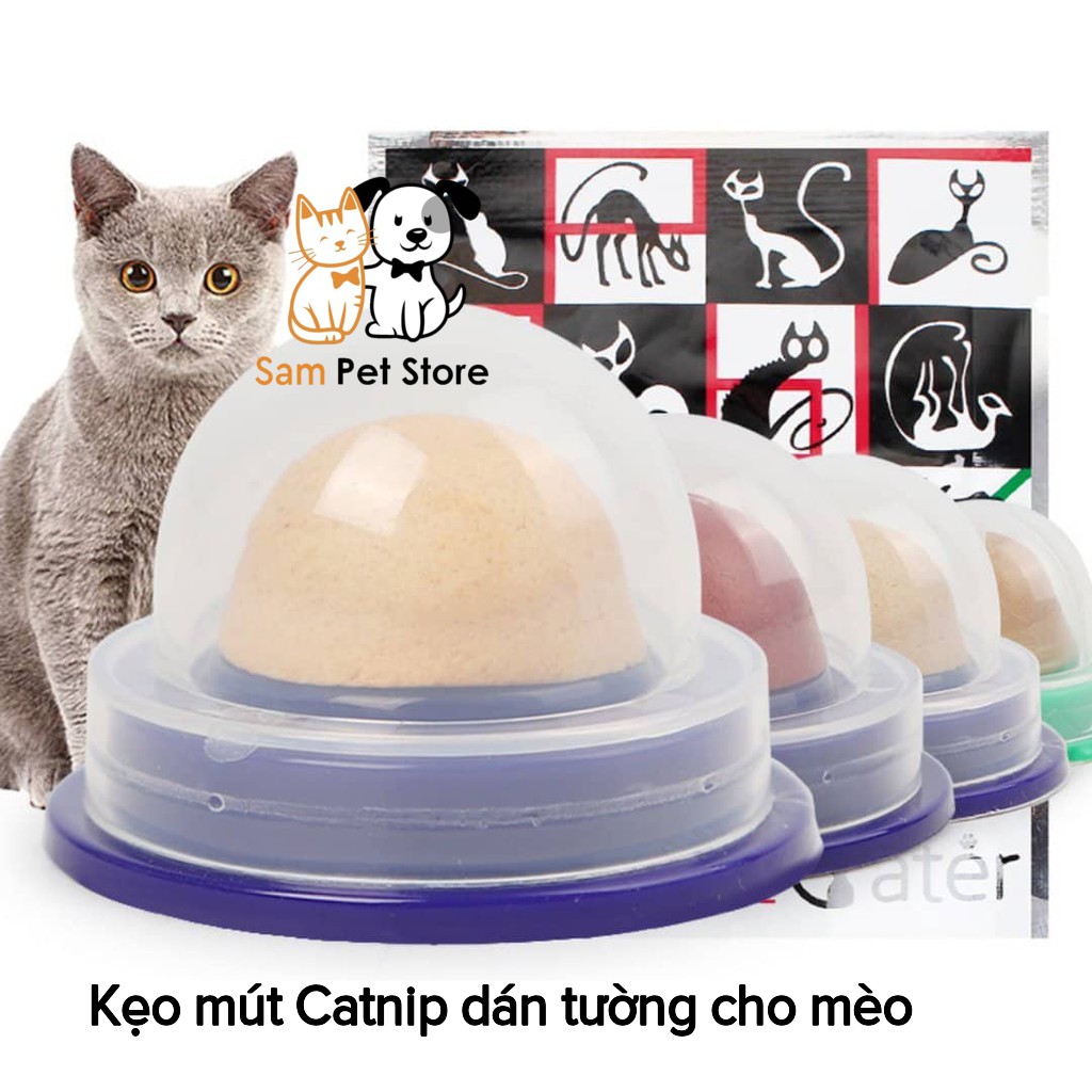 Kẹo mút bạc hà catnip dán tường cho mèo giảm stress
