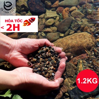 Sạn suối dẹt, sỏi suối thủy sinh 1.2KG tự nhiên, trải nền, trang trí bể cá, tiểu cảnh, hòn non bộ, lọc nước hồ cá