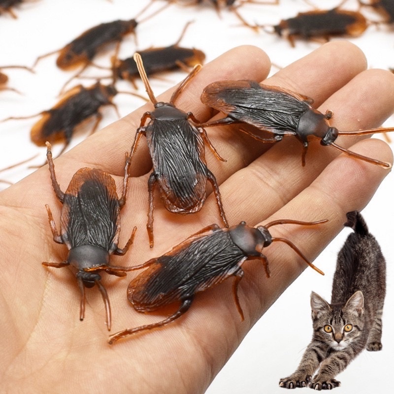 Gián đồ chơi cho chó mèo - 1 con
