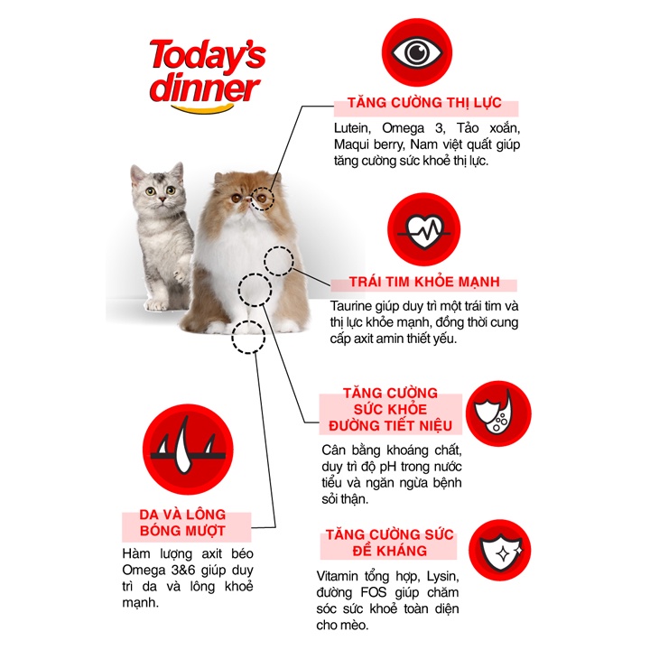 Thức Ăn Hạt Cho Mèo Catsrang 5kg Giá rẻ #MintPet