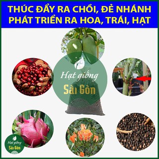Phân Bón DAP 1KG Hạt Đen