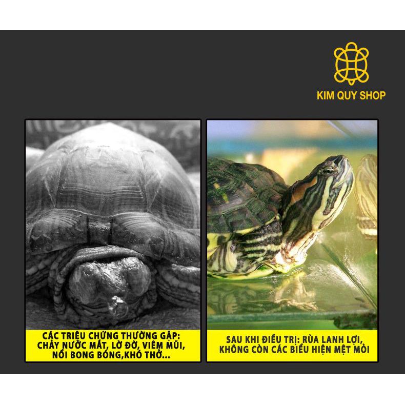 Bột trị viêm phổi và các bệnh về hô hấp cho bò sát