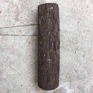 Dớn ghép lan các loại: trụ, đĩa, bảng hàng nhập khẩu và phân phối chính hãng.