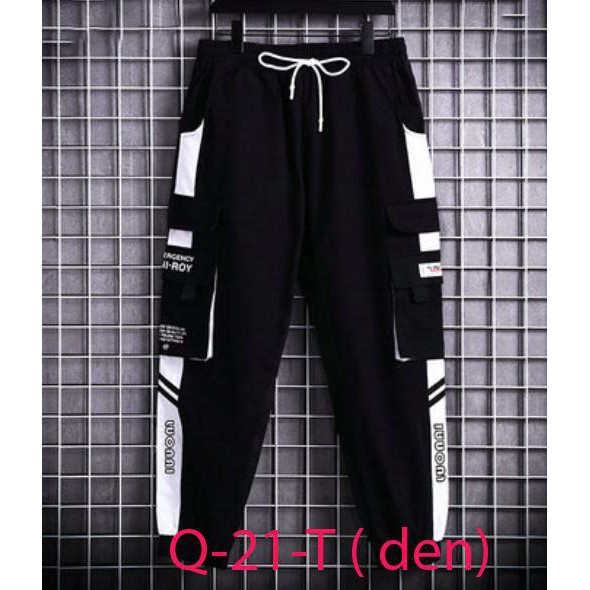 Quần thun unisex nam nữ (quần dài -Q-21-T)