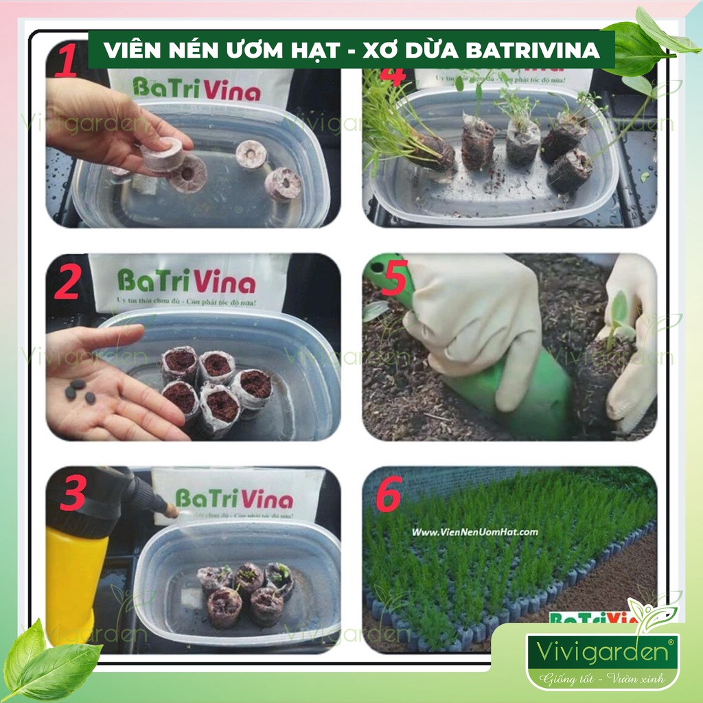 Hộp 16 viên nén ươm hạt, viên nén xơ dừa kích hạt nảy mầm