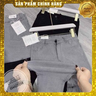 Freeship Quần bò giấy co giãn 4 chiều bán sỉ