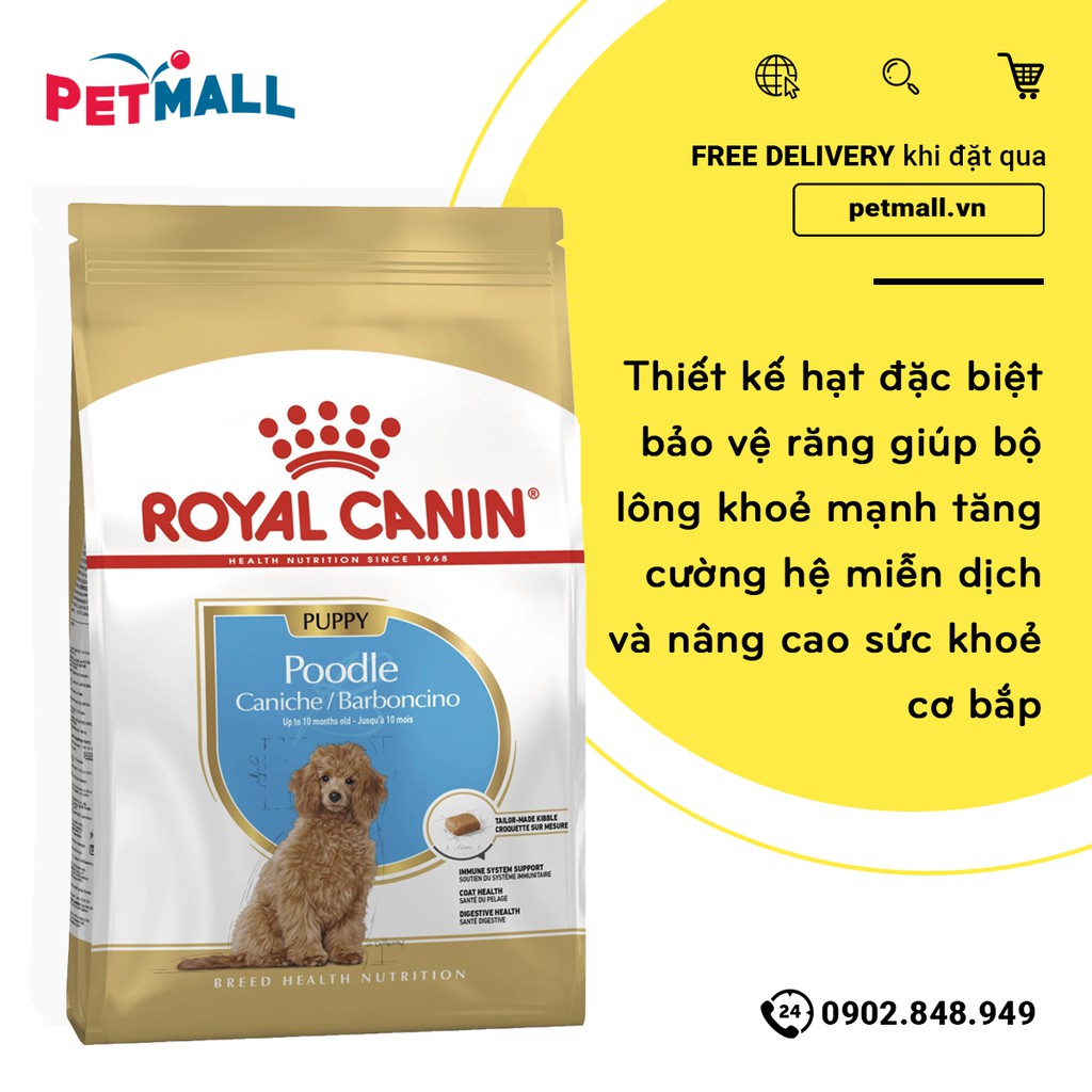 Thức ăn Chó Royal Canin Poodle Puppy 6kg