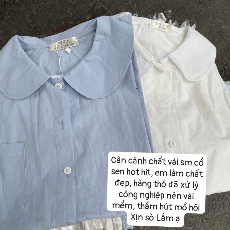 Áo sơ mi cổ sen cộc tay trơn túi ngực dáng xuông chất thô 2 màu Lyn Closet S90