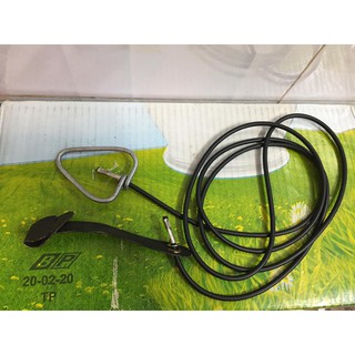 Dây Cột Gà Bằng Cao Su