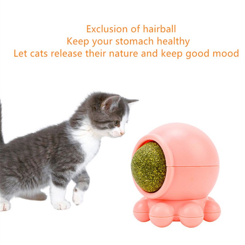 Đồ Chơi Bóng Xoay Bằng Gỗ Đa Giác Làm Sạch Răng Cho Thú Cưng 27 Món