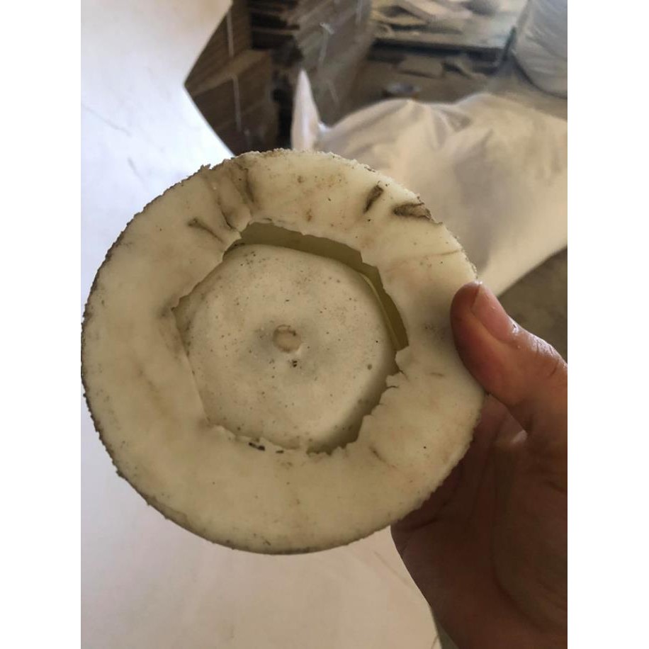 Khuôn chậu silicon