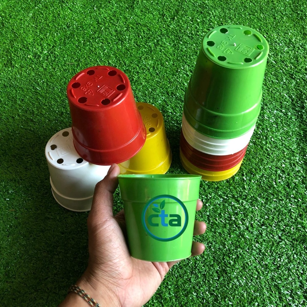 COMBO 10 chậu nhựa đủ màu kích thước 9x8, chậu nhựa nhỏ nhiều màu trồng sen đá, ươm cây