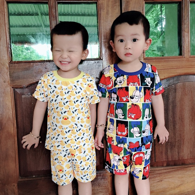Combo cotton giấy thái