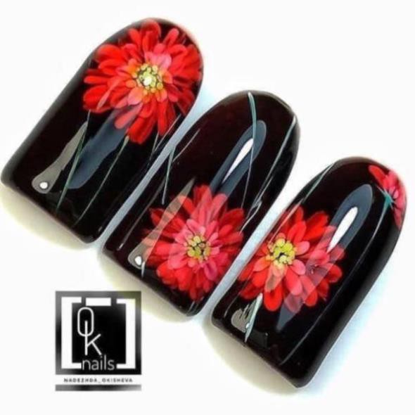 Cọ hoa cúc , Cọ vẽ hoa cúc dingxi nhật