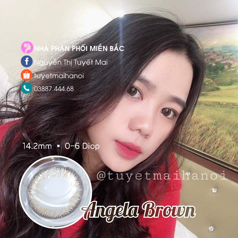 [ Ảnh Thật ] Lens Cận Nâu Tự Nhiên Angela Brown 14.2mm - Kính Áp Tròng Hàn Quốc Vassen Sexy Me