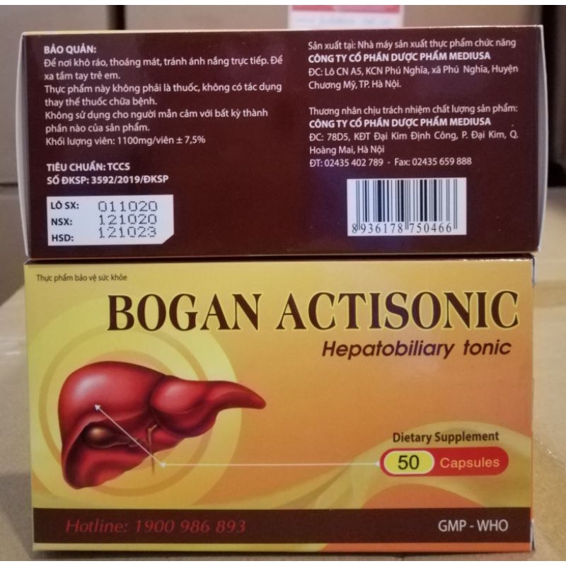 Bổ gan Actisonic Hỗ trợ bảo vệ tế bào gan và phục hồi chức năng gan