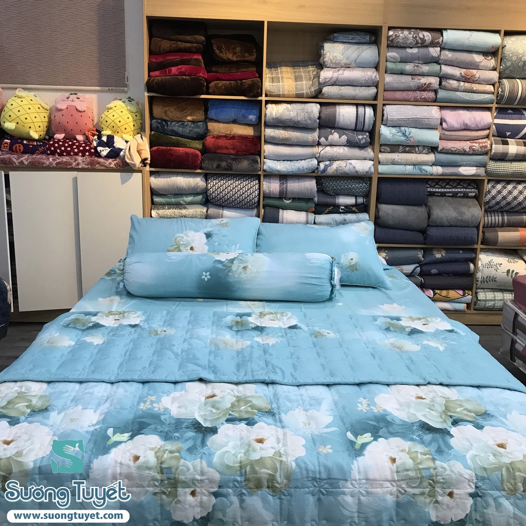 Bộ Drap Lụa Tencel LTC- 015