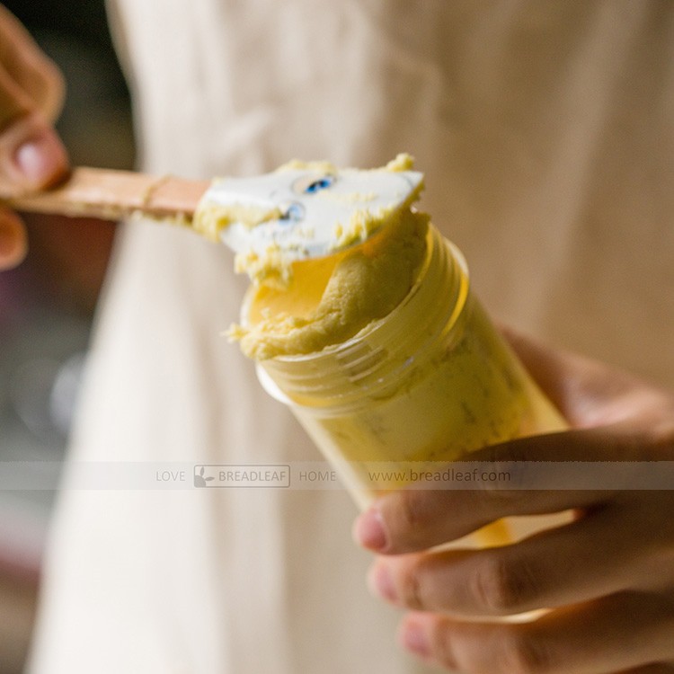 Dụng Cụ Làm Bánh Quy (Cookies Press) 6 Đầu Phun - 16 Mặt Breadleaf