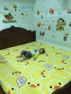 Bộ ga gối cotton poly