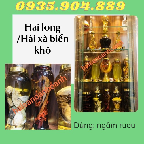 + 5 con Hải Long/Hải Xà biển khô dùng ngâm ruou