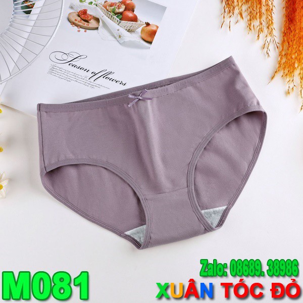 SỈ RẺ HƠN 20-40%_ Quần Lót Cotton Trơn 7 Màu Mới Cực Xịn M081