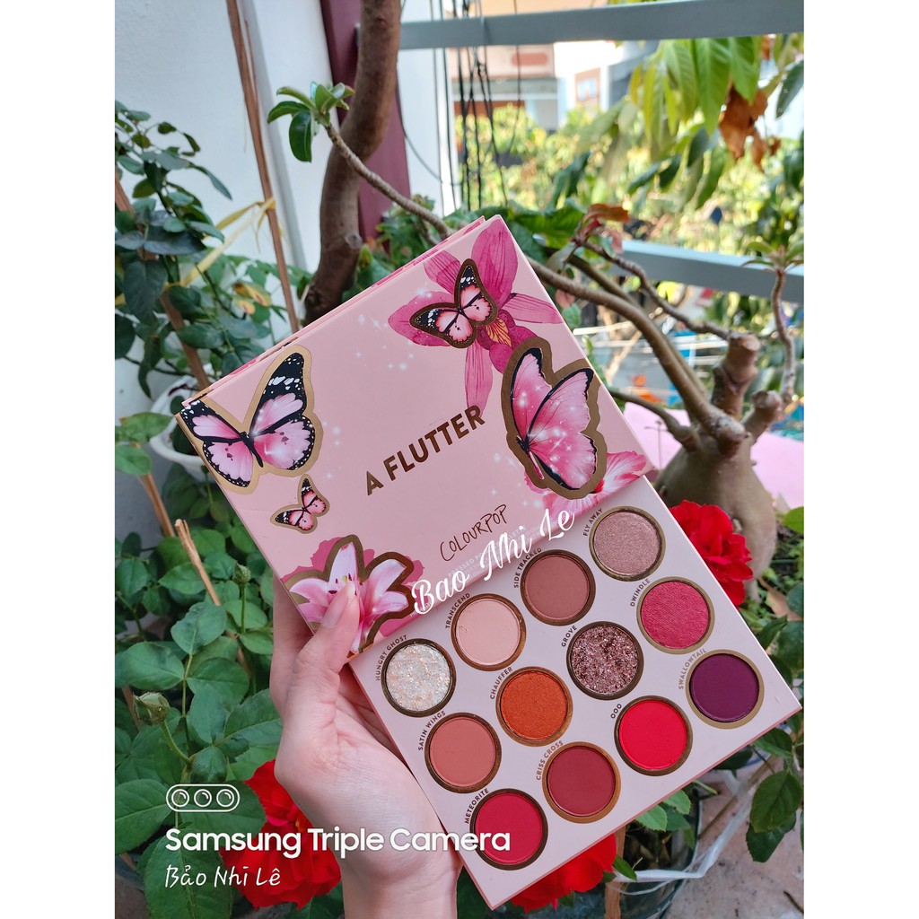 Bảng phấn mắt Colourpop × Butterfly