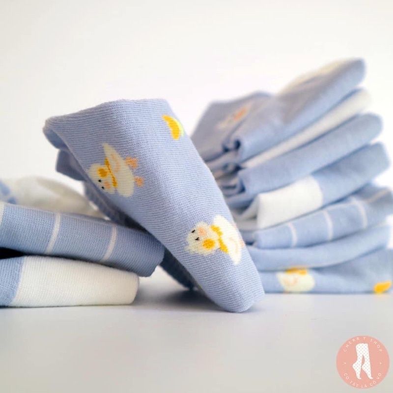 [Combo Sét 5 Đôi] Tất Cổ Cao Hình Hoạ TiếtFreeshipTất Phong Cách Ulzzang Phối Đồ siêu cute, Co dãn Nhiều Màu