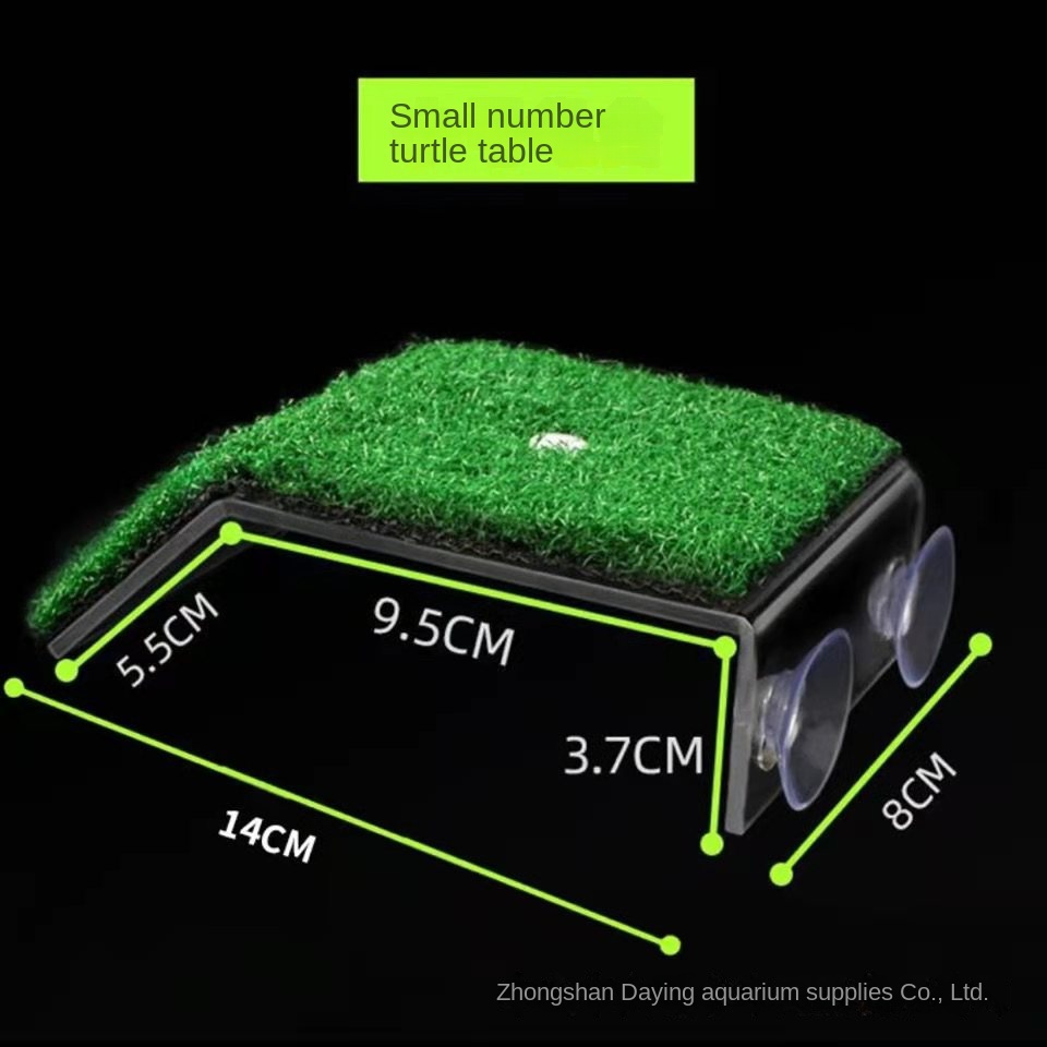 Mới Thang Khô Thoáng Cho Rùa Leo Trèo / Đế Xuồng Khô Mức Nước