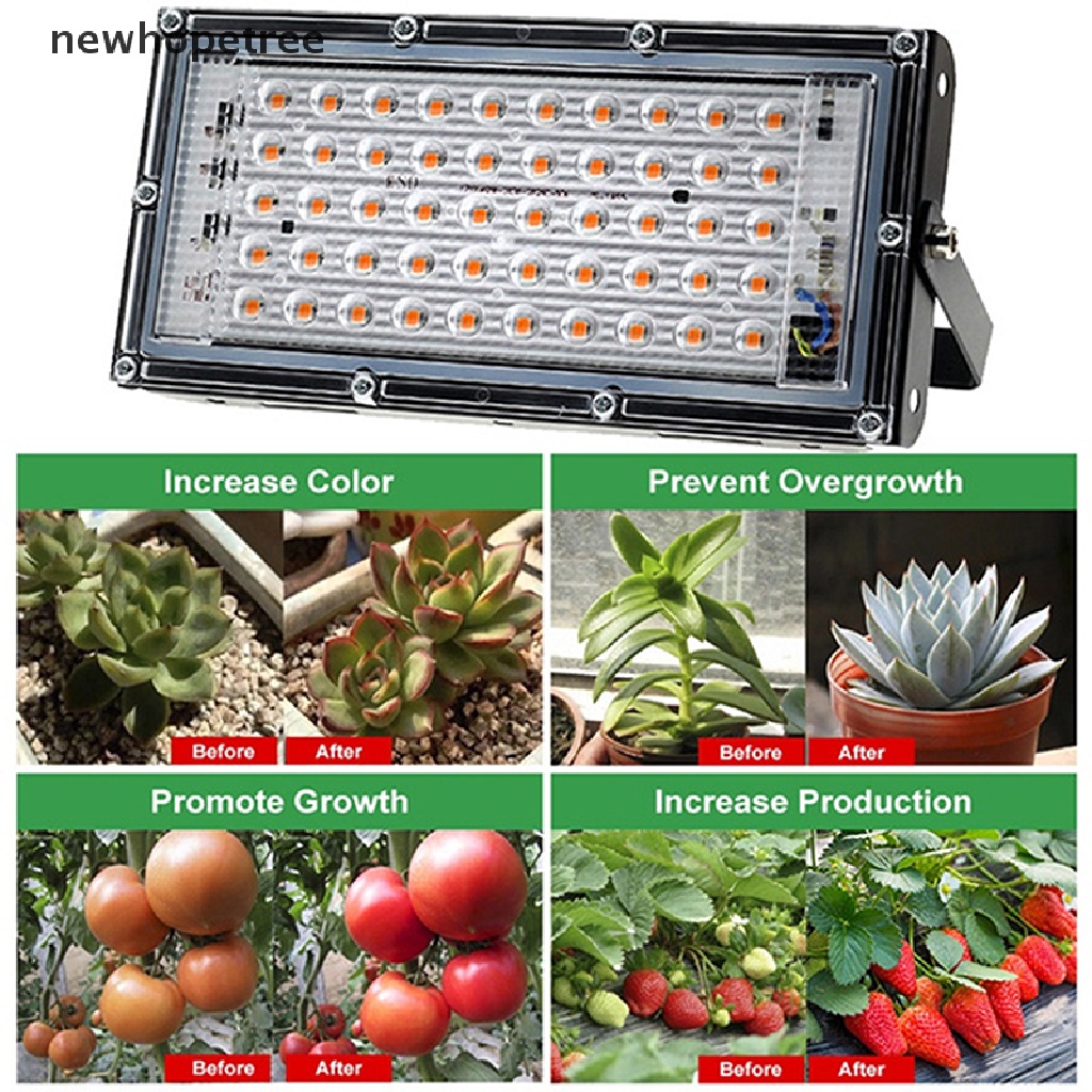 Đèn LED Trồng Cây 220V 50W Chiếu Sáng Tiện Dụng