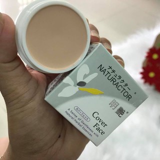 Phấn tạo khối