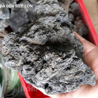 ☘ Đá Đen Gia Lai (1kg) - Setup Bể Thuỷ Sinh Cực Đẹp