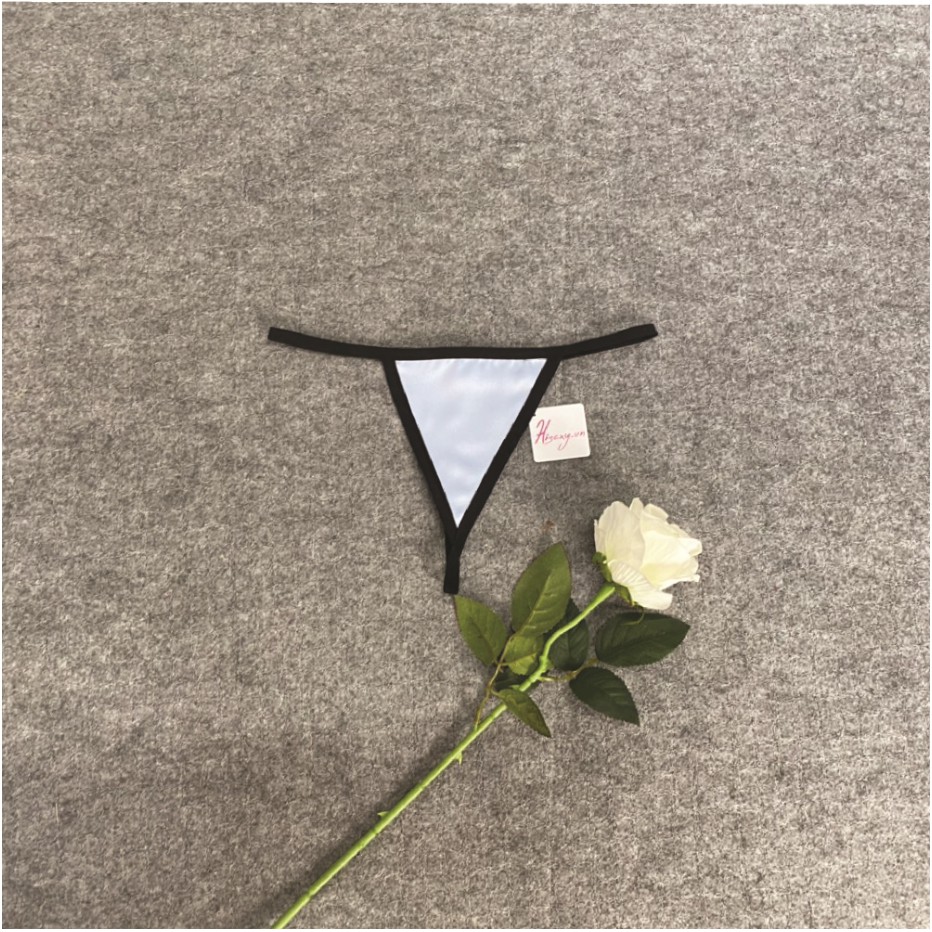 HISEXY Quần Lọt Khe Chữ T Lụa Satin Gợi Cảm Nhiều Màu L1 | BigBuy360 - bigbuy360.vn