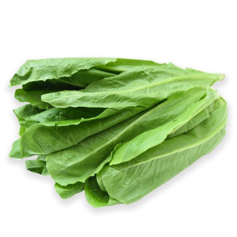 Rau củ ĐÀ LẠT - Xà lách Romaine