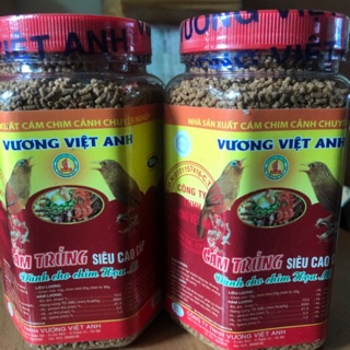 Cám mi vương Việt anh