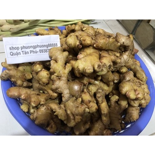 Củ gừng tươi 500gr - 1kg