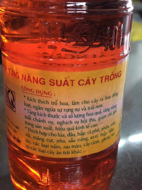 Phân bón lá HQ-101 kích thích trổ hoa đồng loạt, tăng kích thước số lượng quả trên cây