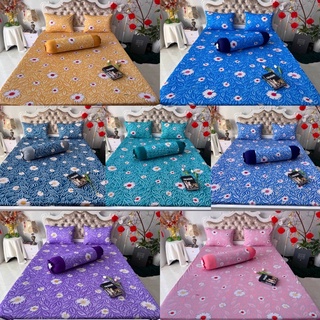 Bộ Drap thun hàn quốc hoa cúc phối 7 màu