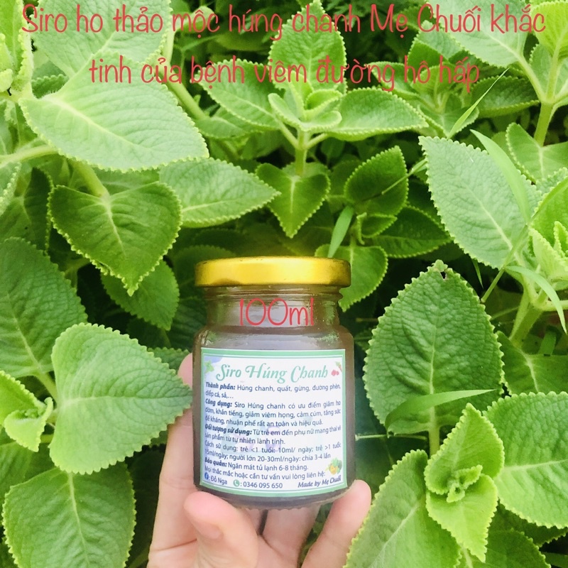 Siro ho thảo mộc húng chanh Mẹ Chuối 250ml (CÓ KIỂM ĐỊNH KHOA HỌC)