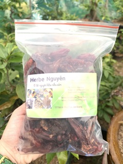 Mủ gòn loại 1 (500g)