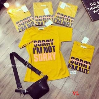 Áo sorry vàng_VL2360