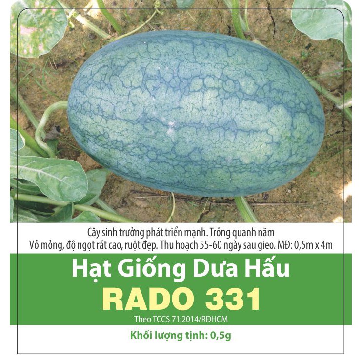 Hạt giống Dưa Hấu RADO 331 (0.5gr) Rạng Đông, Trồng Quanh năm, Thu sau 55-60 Ngày, Vỏ Mỏng