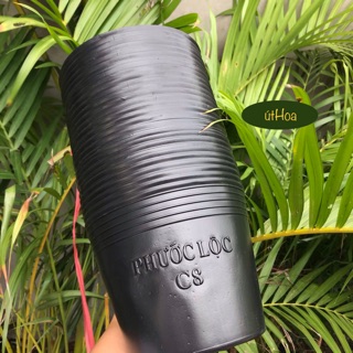 Combo 50 chậu nhựa đen C8 (18x14 cm) trồng cây, trồng hoa kiểng