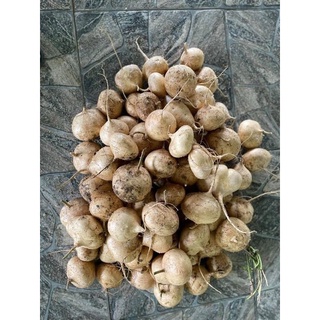Củ sắn 500g