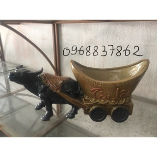 Chậu trồng cây cảnh trâu tài lộc
