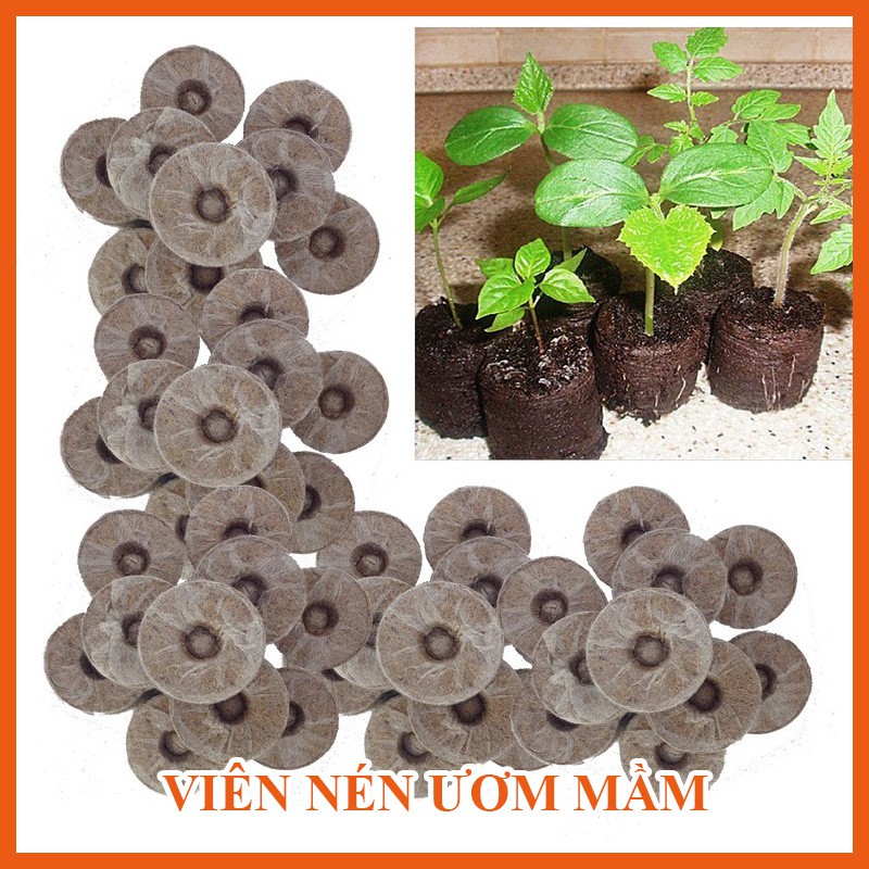 10 viên nén ươm mầm kích thích hạt nảy mầm - Tỷ lệ lên đến 95% - Năng suất cao - Viên nén xơ dừa ươm hạt giống