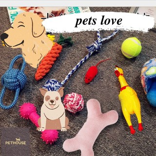 Hộp Quà Tặng 10 Đồ Chơi Cho Chó Mèo Giúp Thú Cưng Không Cắn Phá Đồ Đạc