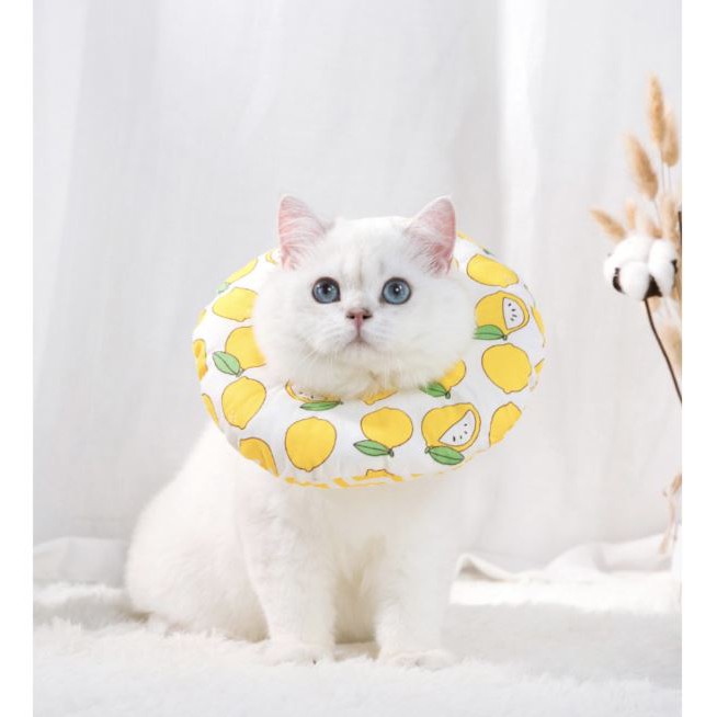 Gối chống liếm cho chó mèo SIZE LỚN. Loa chống liếm cho thú cưng BIG SIZE